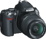 Nikon D40